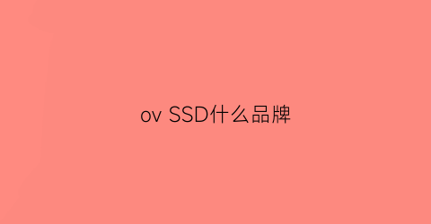 ovSSD什么品牌(ov硬盘是什么牌子)